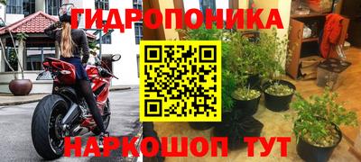 прущие грибы Лесосибирск
