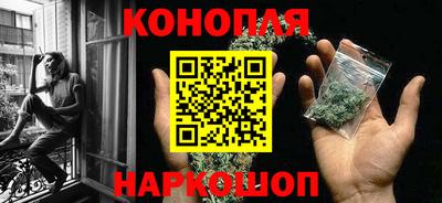 прущие грибы Лесосибирск