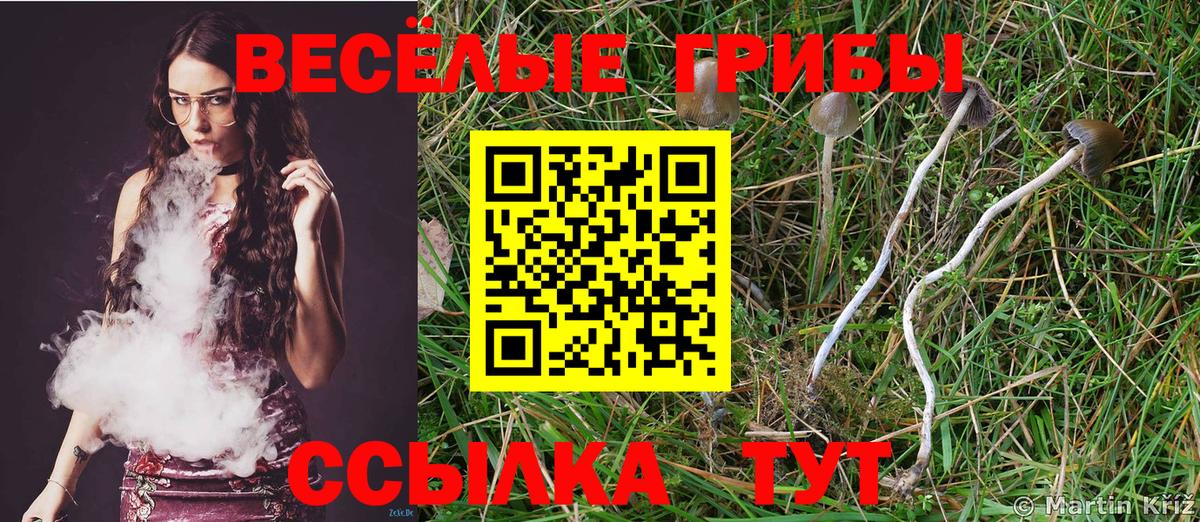 Йошкар-Ола  Псилоцибиновые грибы Cubensis  Вход с VPN 